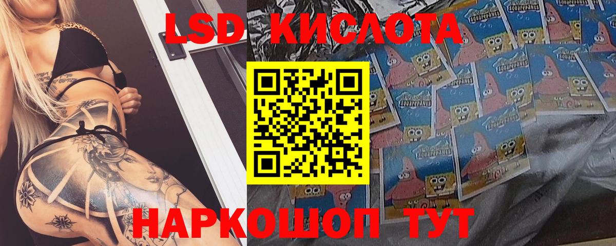 ЛСД экстази ecstasy  ЛСД экстази ecstasy  Вход с VPN  Курчалой 