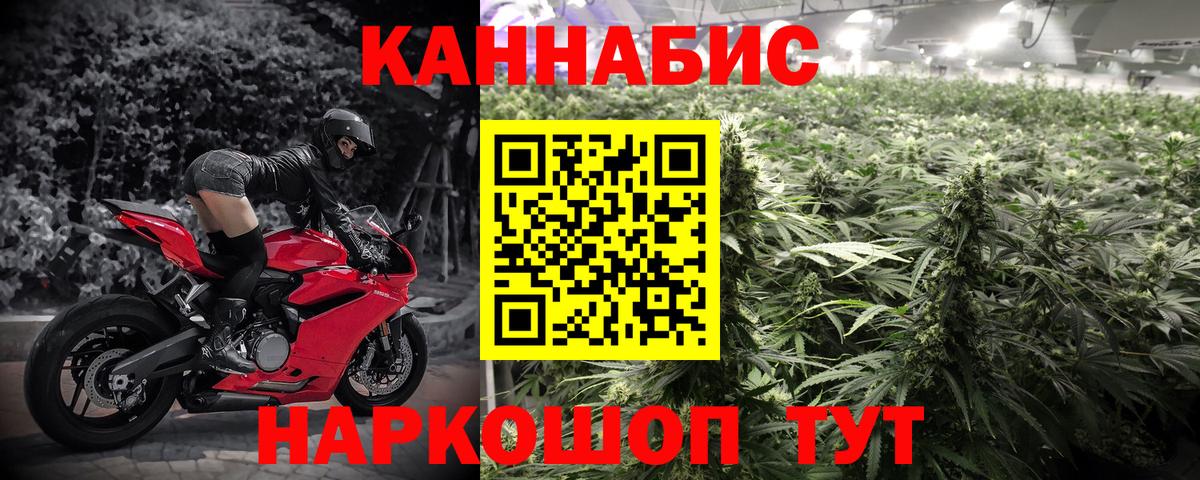 Марихуана SATIVA & INDICA Курчалой
